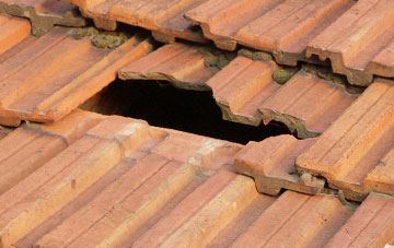 roof repair Trehafren, Powys