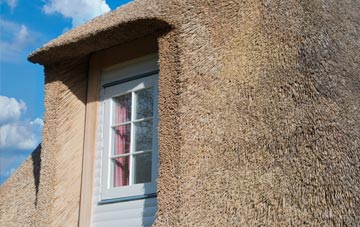 Trehafren thatch roof disadvantages