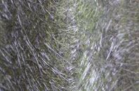 Trehafren fibreglass roof work